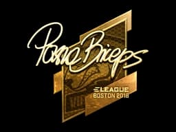 Sticker | pashaBiceps (Gold) | Boston 2018