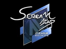 Sticker | ScreaM | Boston 2018