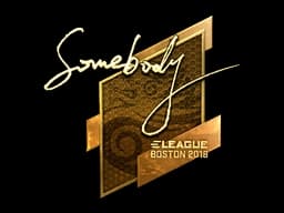 Sticker | somebody (Gold) | Boston 2018