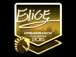 Sticker | EliGE (Gold) | Cluj-Napoca 2015