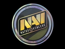 Sticker | Natus Vincere (Holo) | Cologne 2014