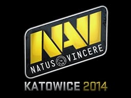 Natus Vincere