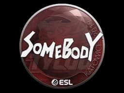 Sticker | somebody | Katowice 2019