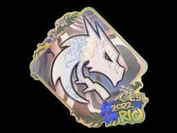 Sticker | Team Spirit (Holo) | Rio 2022