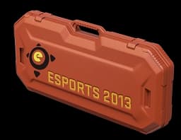 eSports 2013 Case