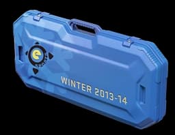 eSports 2013 Winter Case