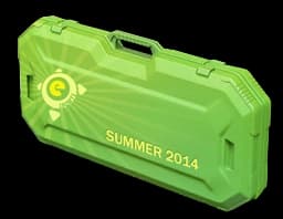 eSports 2014 Summer Case